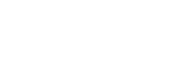 Logo Industria Textil Nerpel